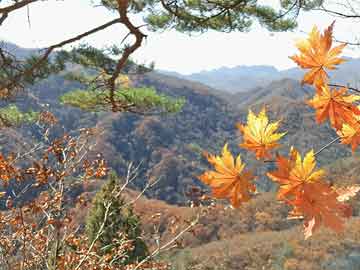 芝麻交易所gate下载:比特币一度上涨至71200美元 · 快讯-gate比特儿交易所